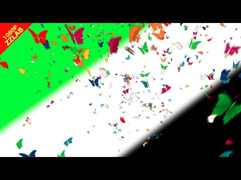 Butterfly magic Green Screen Video ZzLAB