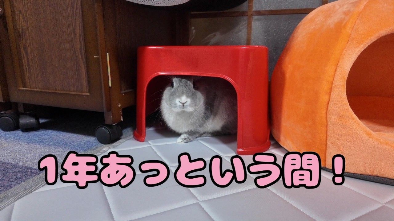 YouTube YouTube