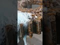 Rusted Gear Wheel Cleaning | Satisfying Transformation#RustRemoval #Gear #Metal #Reels #Shorts