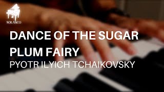 Pyotr Ilyich Tchaikovsky - Dance of the Sugar Plum Fairy | Piano by Tomas Nolasco
