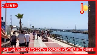 🔴LIVE: MELTING in Tenerife- Las Americas to Costa Adeje ☀️ Canary Islands