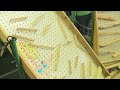 Engaging Youth Through 4-H Day Activities and Rube Goldberg Innovations