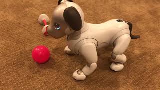 Melon the Aibo ERS-1000