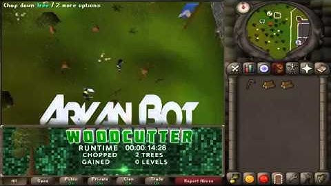 Runescape Bot for 2007Scape - AryanBot - Most scripts!