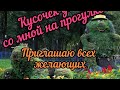 VLOG: Гуляем и болтаем. Немного обо мне и кусочек дня на прогулке.