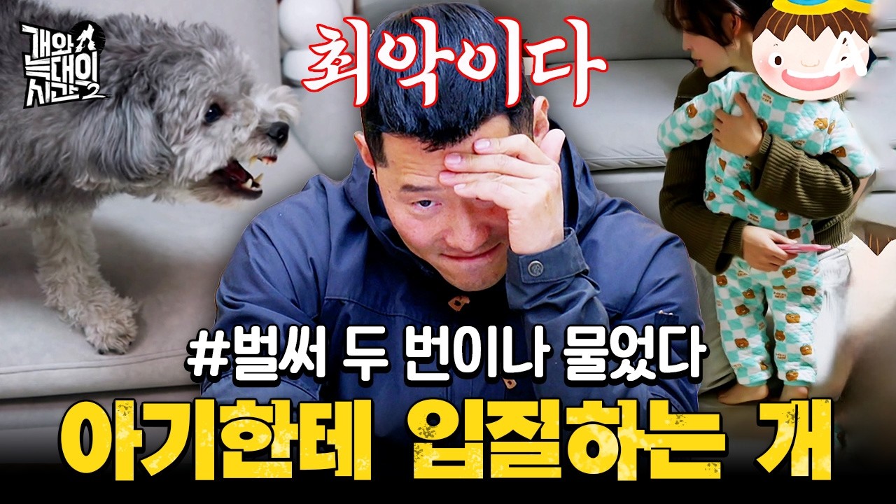 [#클립배송] 27개월 아기를 두 번이나 문 말티푸?! 계속되는 위험천만한 순간에 경악한 강형욱 | #개와늑대의시간2 8회