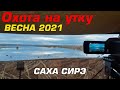 Весенний сезон охоты на уток в Якутии 2021