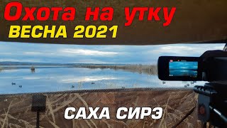 Весенний сезон охоты на уток в Якутии 2021