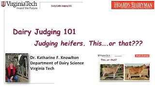 Dairy Judging 101 - Practice judging heifers. This, or that? Dairy Judging 101 Practice Class H1