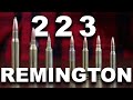 Que peut vraiment faire le 223 remington 