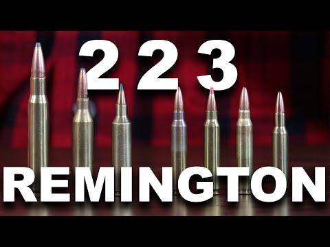 What Can the 223 Remington Really Do?