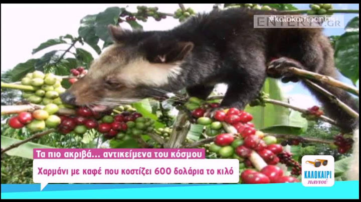 Entertv: Τα πιο ακριβά... αντικείμενα του κόσμου