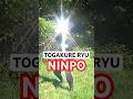 How To Do TOGAKURE RYU Ninjutsu Escape & Evasion Techniques #Shorts