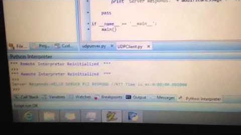 UDP Ping Server and client