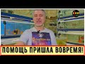 ДИСКУСЫ, ПОМОЩЬ ПРИШЛА ВОВРЕМЯ!  DISCUS, HELP HAS ARRIVED ON TIME!