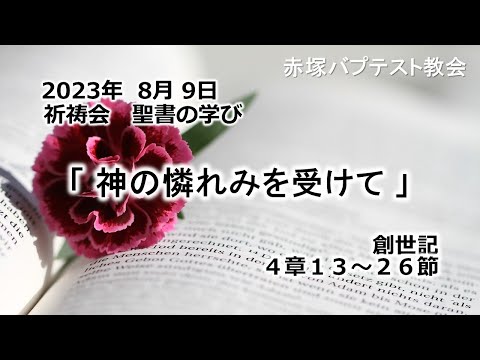 2023年 8月 9日(水)赤塚教会祈祷会　聖書の学び「神の憐れみを受けて」創世記4章13～26節