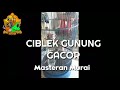 Ciblek Gunung Gacor Masteran Murai Cucak Ijo Mp3 - Mp4 Download