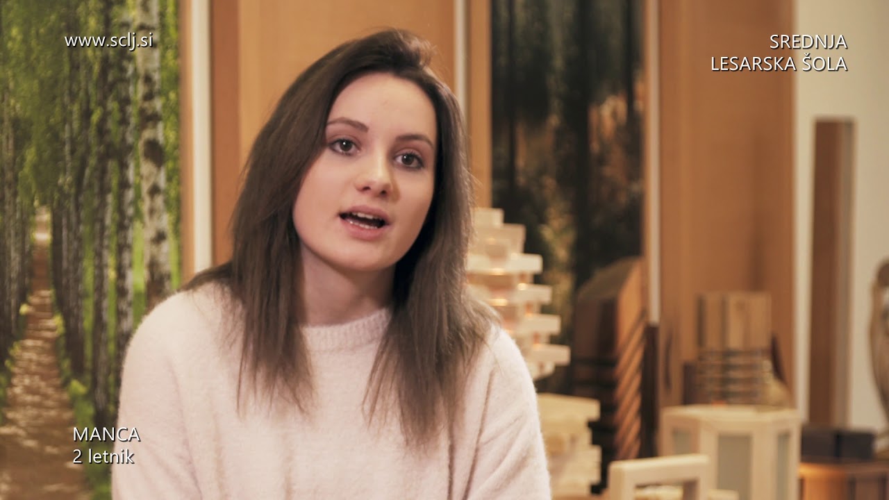 SREDNJA LESARSKA ŠOLA LJUBLJANA: predstavitveni video