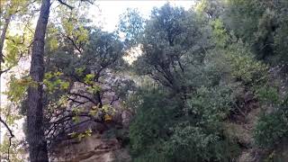 Caza del jabalí 2020. Cap 1