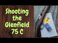 Shooting the Glenfield/Marlin model 75 C