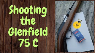 Shooting the Glenfield/Marlin model 75 C