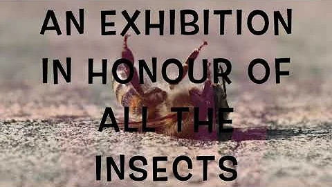 A TRIBUTE TO ALL THE SMALL THINGS IN LIFE