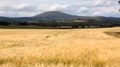 FIELDS OF GOLD ( Sting) Sung By  PAULINE ALEXANDER