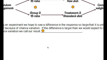 Chapter 4, Video #3 - Completely Randomized Design