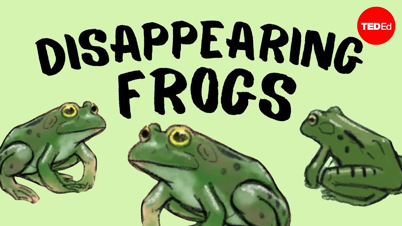 How Do Frogs Affect The Ecosystem?