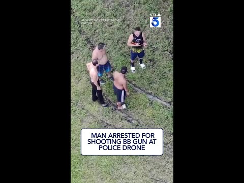 Man arrested for shooting BB-gun at police drone