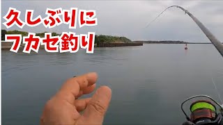 例年避けていた春の宮崎港のフカセ釣り - YouTube