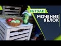 Лучшие Рецепты Моченых Яблок 🍏 Как хранить Яблоки 🍏  Советы садоводам от хитсад тв