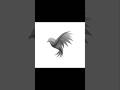 Beginner pro Illustrator Tips | Color to black and white in effect in Illustrator tip  #mgraphics