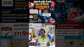 pig kidney transplant to human update | Pig Kidney in a Human Body Xenotransplantation Explained