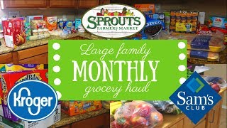 LARGE FAMILY MONTHLY GROCERY HAUL