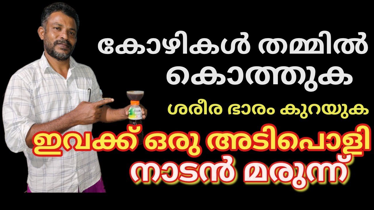 നെല്ലിക്കയുടെ മാന്ത്രികശക്തി/ കോഴികൾ ഇനി സ്നേഹത്തോടെ വളരും/organic medicine in poultry/success media
