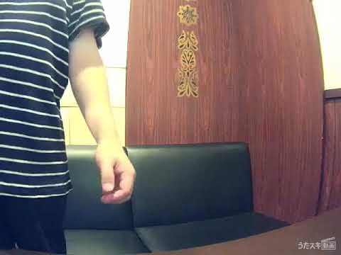 中島美嘉／WILL【うたスキ動画】
