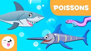 Les poissons pour enfants - Les animaux vertébrés - Sciences naturelles pour enfant