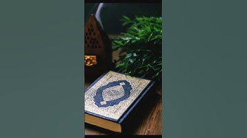 ما اسم القارئ؟ تلاوة جميلة