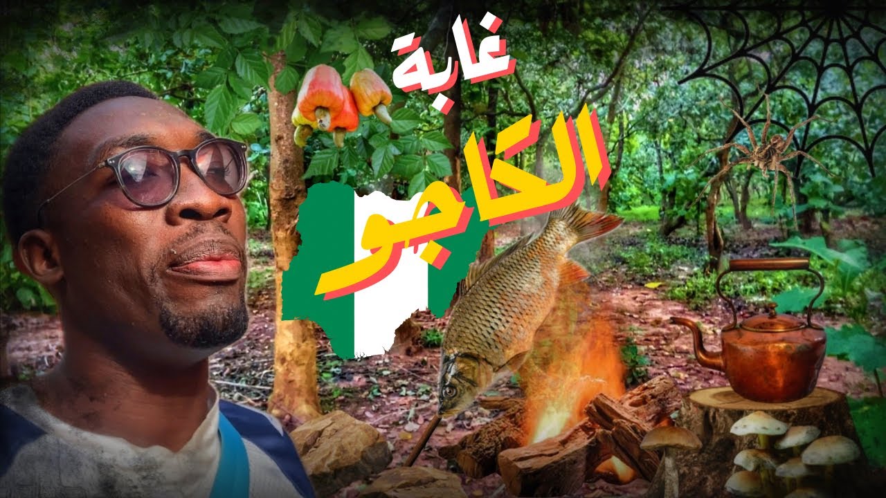 شويت سمك مع شاي عالجمر في غابه الكاجو ب نيجيريا ابوجا🇳🇬