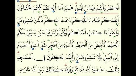 (29) سورة البقرة من 183 الى 188