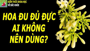Những người không nên uống hoa đu đủ đực