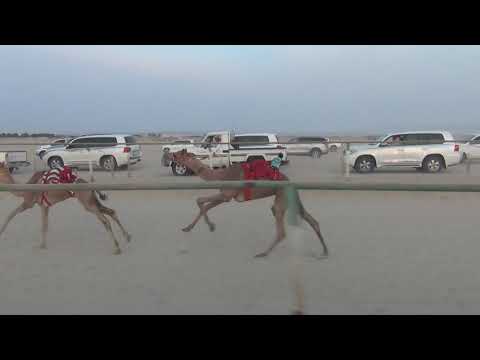 فراع عبدالله ناصر رملان المري