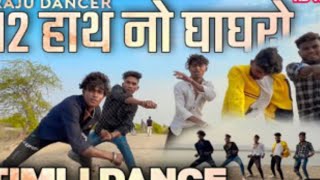 12 हाथ नो घाघरो || Timli Dance - Raju Dancer || Singer - Adx Ajay Bhabar Karandancer440