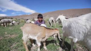 Short - Quebrada del Toro (Salta) - Programa TSNoa