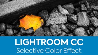 How to Create the Selective Color Effect in Lightroom CC screenshot 4