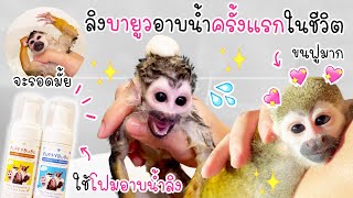 ลิงบายูวอาบน้ำครั้งแรกในชีวิต !! จะยอมมั้ยน้าาาาา 🐵🌈