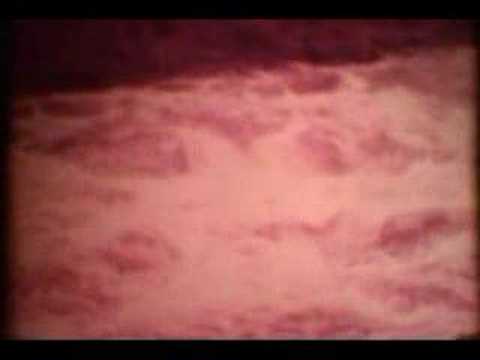 Pink Floyd - Set the controls for the heart - Sheep - Embryo