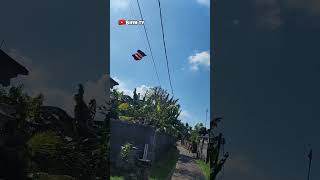 spill layangan celepuk tut andika sabar belum ada angin ya tut 🧐🤔🤯