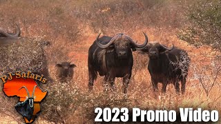 2023 Promo Video - PJ Safaris